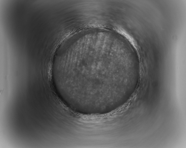 X0000093160009200710171218