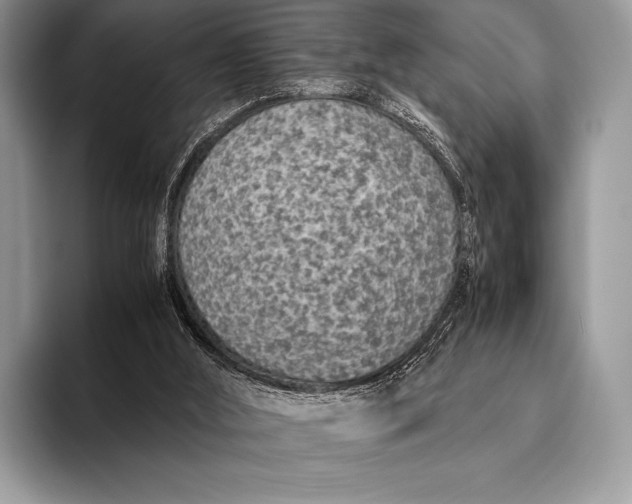 X0000093160012200710171218