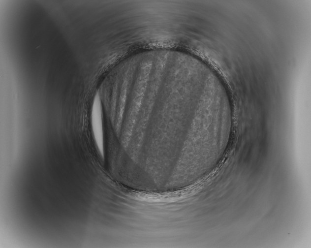 X0000093160017200710171218