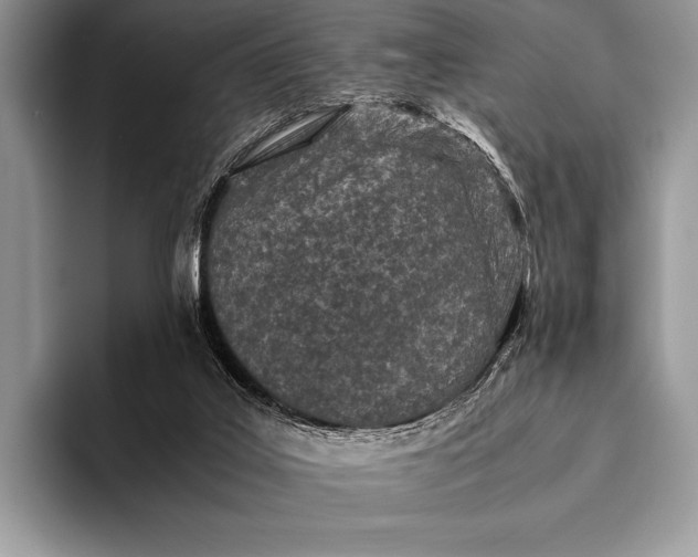 X0000093160019200710171218