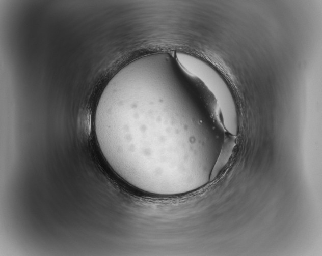 X0000093160021200710171218