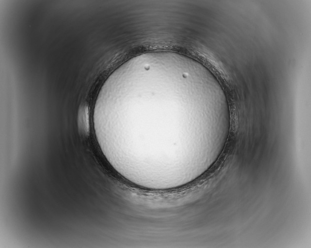 X0000093160022200710171218