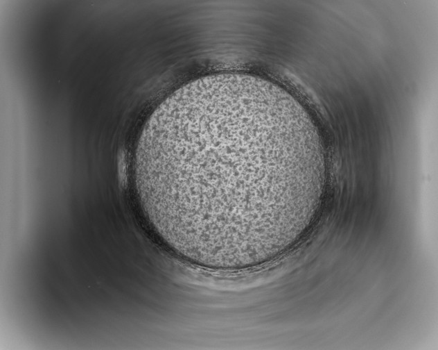 X0000093160026200710171218