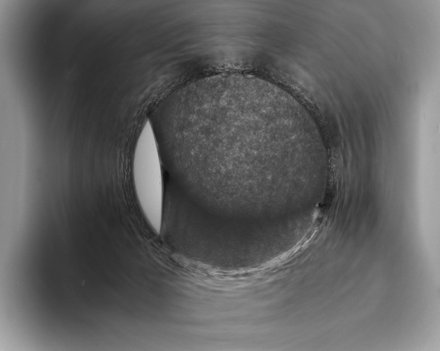 X0000093160029200710171218