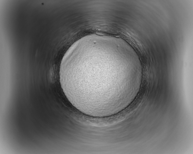 X0000093160030200710171218