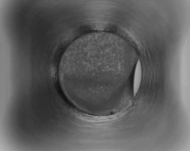X0000093160031200710171218