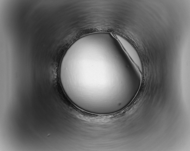 X0000093160032200710171218