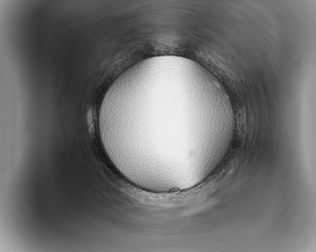 X0000093160038200710171218