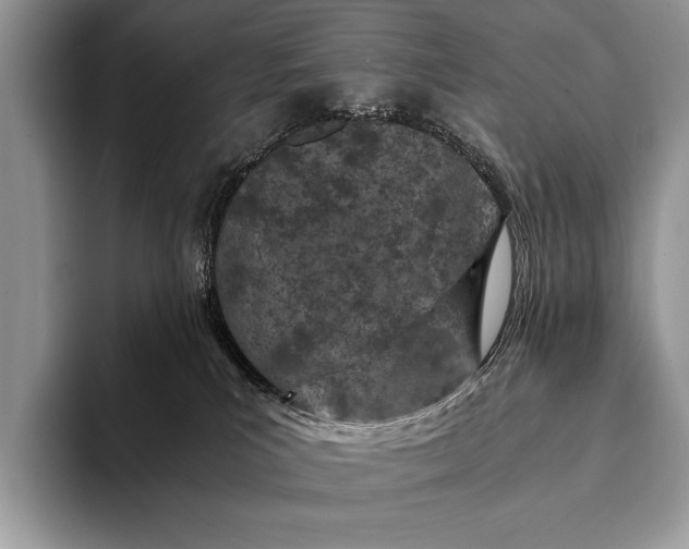 X0000093160039200710171218