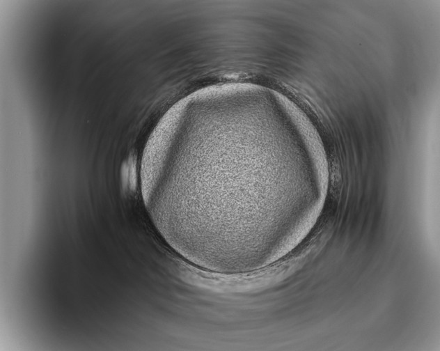X0000093160046200710171217
