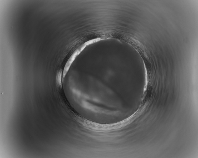X0000093160047200710171217