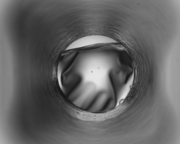 X0000093160048200710171217