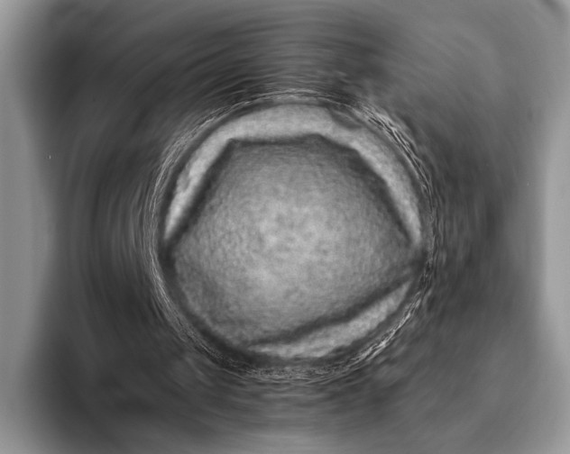 X0000093160049200710171217