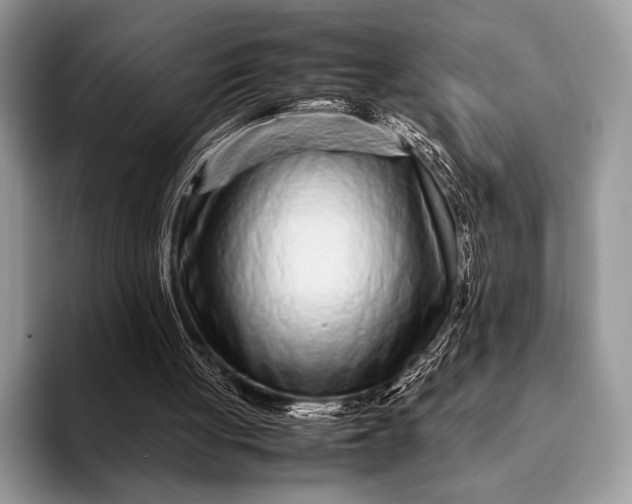 X0000093160051200710171217