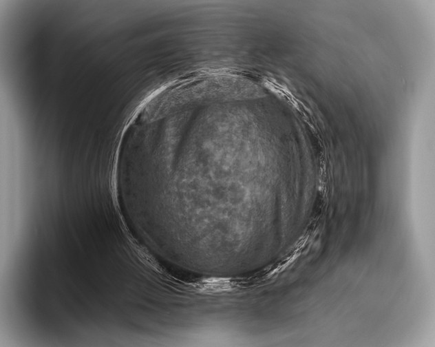 X0000093160052200710171217