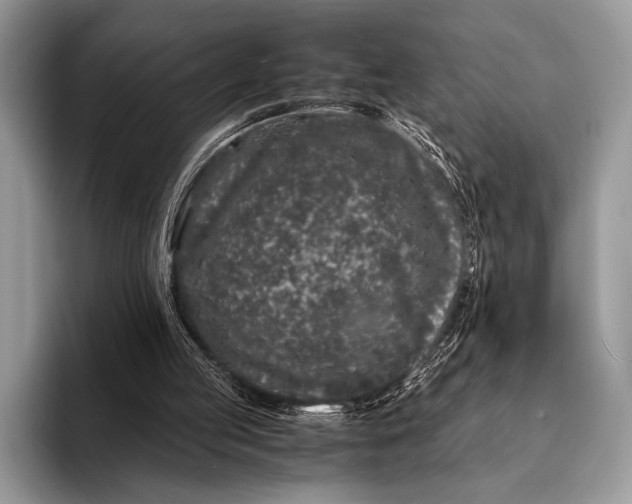 X0000093160053200710171217