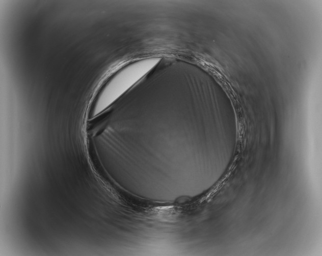 X0000093160054200710171217