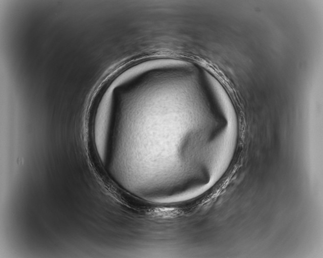X0000093160055200710171217