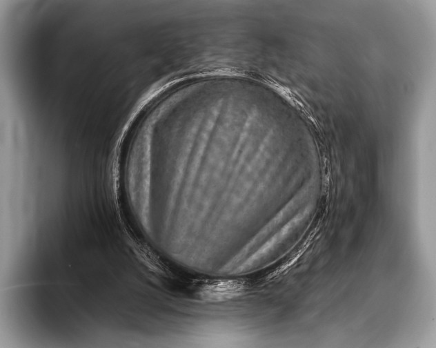 X0000093160056200710171217