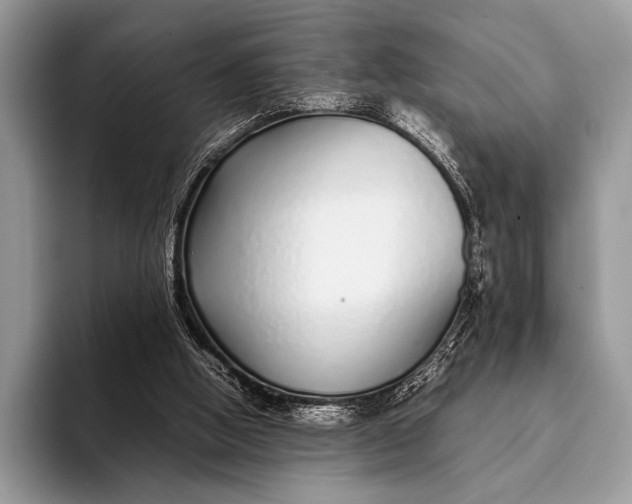 X0000093160058200710171217