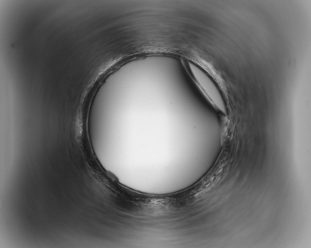 X0000093160060200710171217
