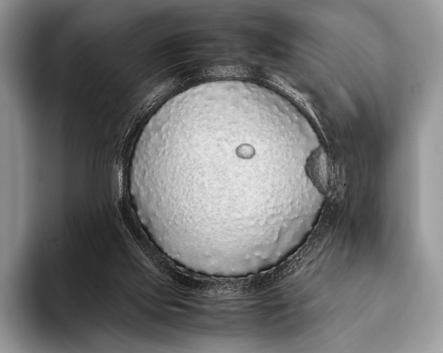 X0000093160061200710171217