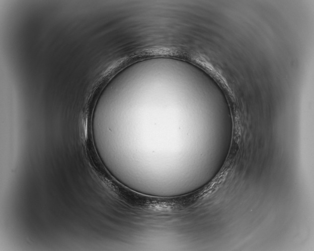 X0000093160062200710171217
