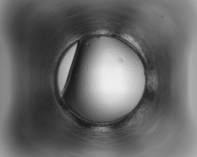 X0000093160063200710171217