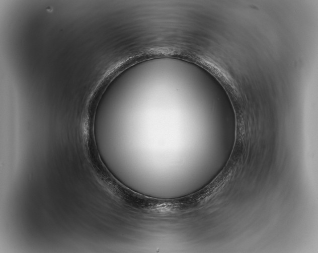 X0000093160064200710171217