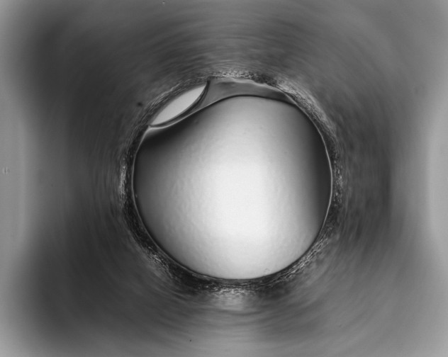X0000093160066200710171217