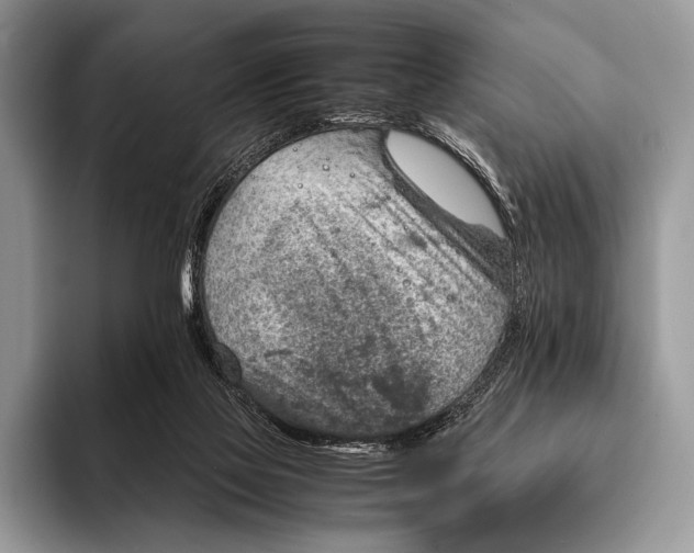 X0000093160069200710171217