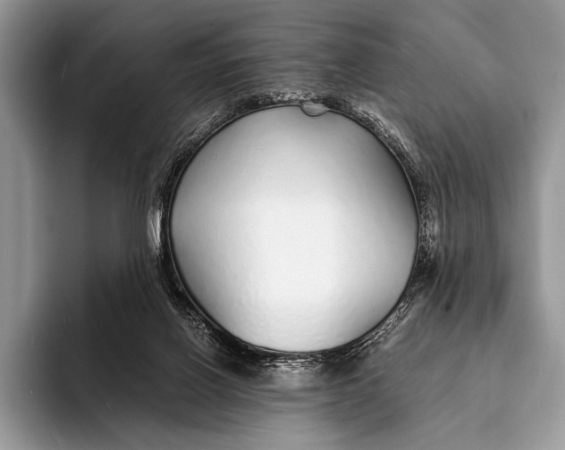 X0000093160070200710171217