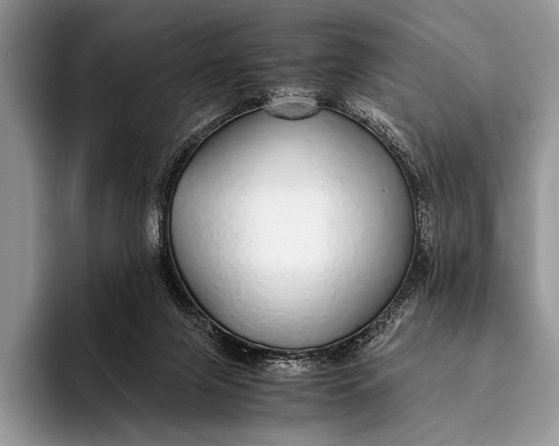 X0000093160071200710171217
