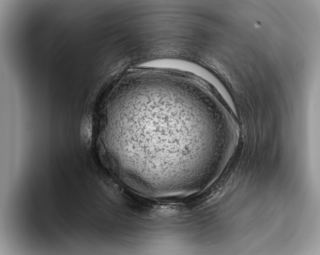 X0000093160072200710171217
