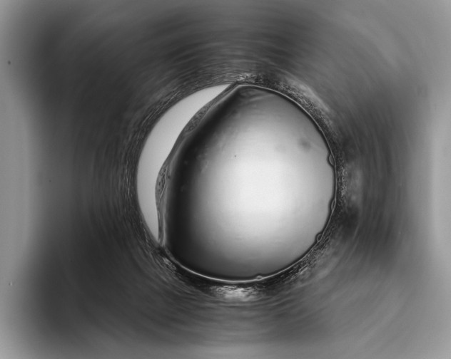 X0000093160073200710171217