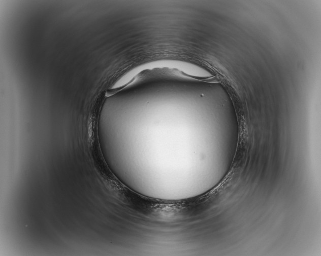 X0000093160074200710171217