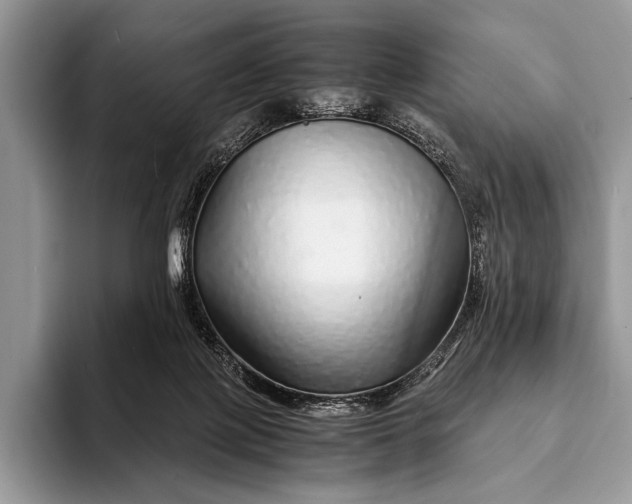 X0000093160075200710171217