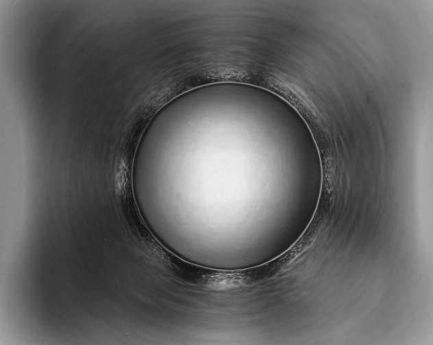 X0000093160077200710171217