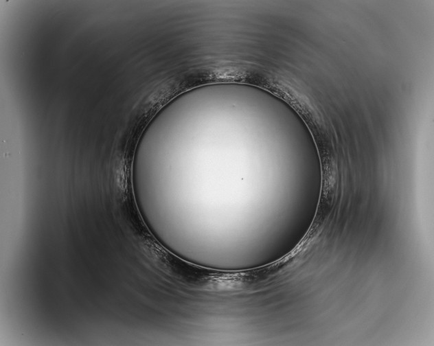 X0000093160078200710171217