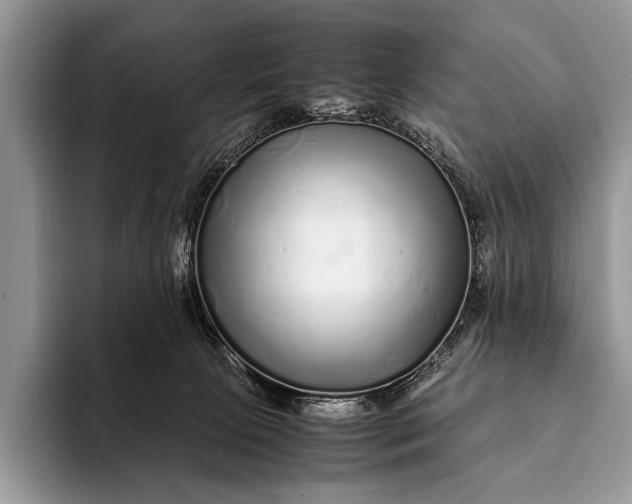 X0000093160081200710171217
