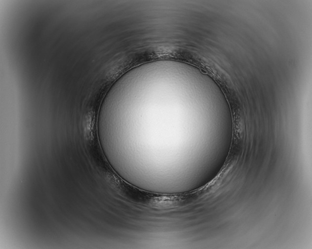 X0000093160082200710171217