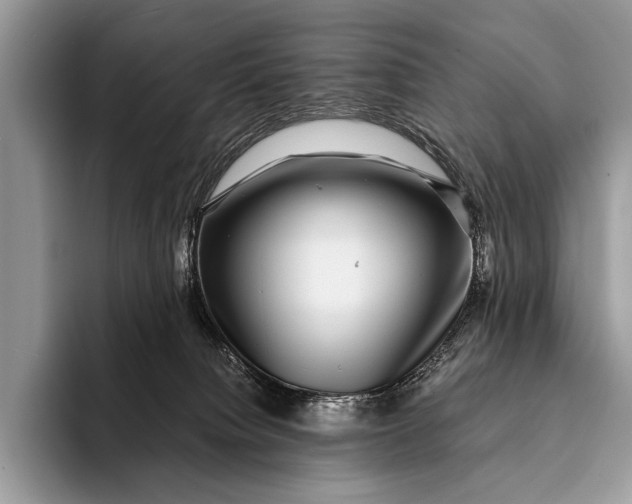 X0000093160084200710171217