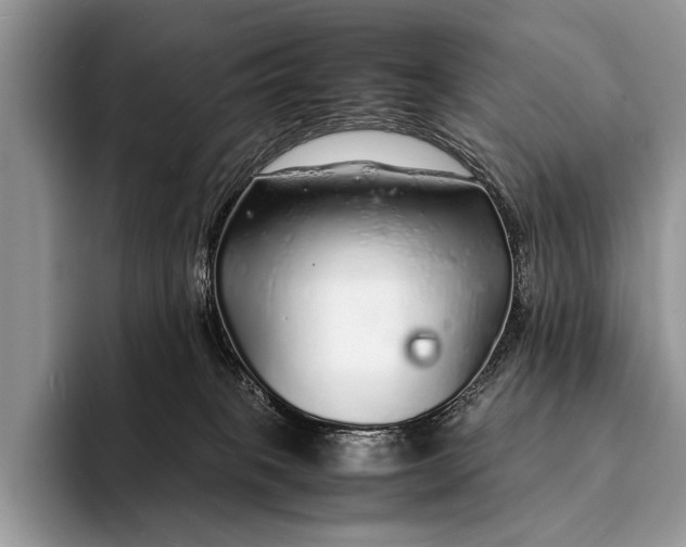 X0000093160085200710171217