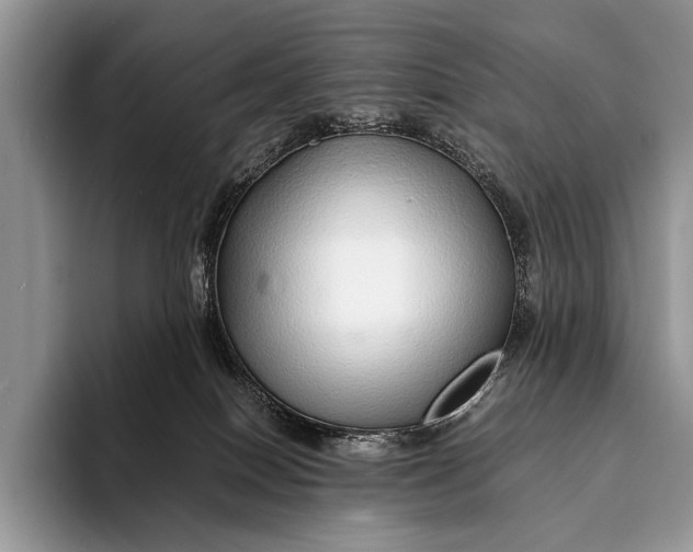 X0000093160086200710171217