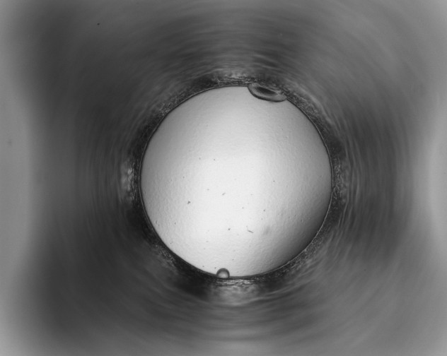 X0000093160087200710171217
