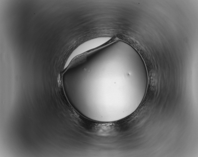 X0000093160089200710171217