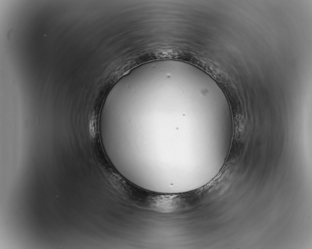 X0000093160090200710171217