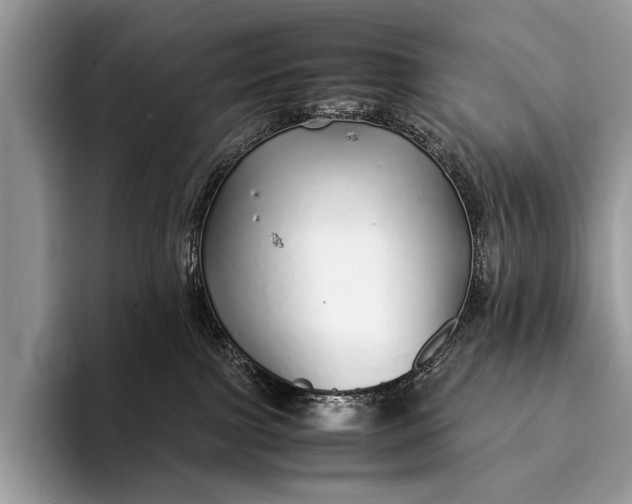 X0000093160091200710171217