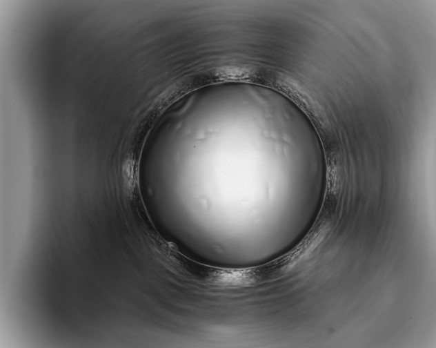 X0000093160093200710171217