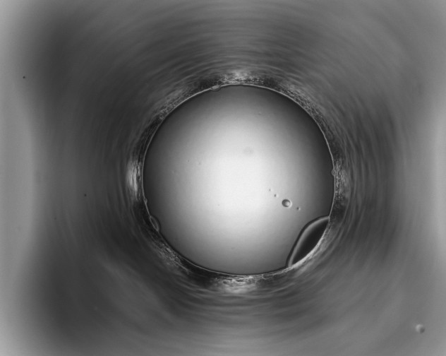 X0000093160094200710171217